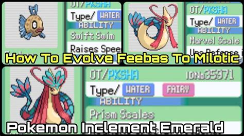 how to evolve milotic emerald.